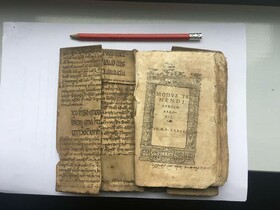 «ابن سینا» منبع بزرگ پزشکان ایرلندی در قرون وسطی  