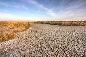 مراکز علمی به کمک مدیریت خشکسالی بیایند