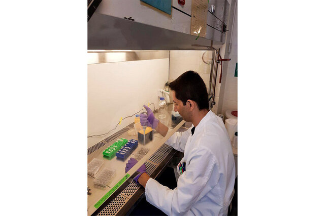 کشف ترکیبات جدید با خواص ضدمیکروبی و ضدسرطانی 