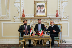 لاریجانی با رئیس مجلس عراق دیدار کرد