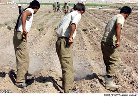 اشتغال در بخش کشاورزی طی سال‌های اخیر کاهش یافته است