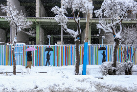 «اراک» پس از بارش سنگین برف