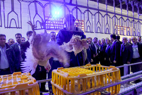 سفر معاون اول رییس جمهور به سمنان