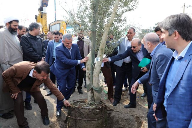 کاشت ۱۲۰ هزار اصله نهال در سطح منطقه۲۲