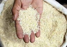 بررسی آفلاتوکسین موجود در برنج ایرانی