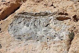 دستگیری سارقان و کشف کتیبه تاریخی اصفهان در یزد