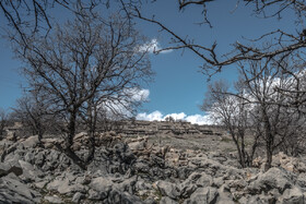 همسان با سنگ و صخره