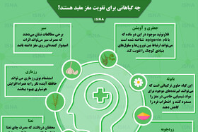 اینفوگرافی / گیاهانی که برای تقویت مغز مفید هستند