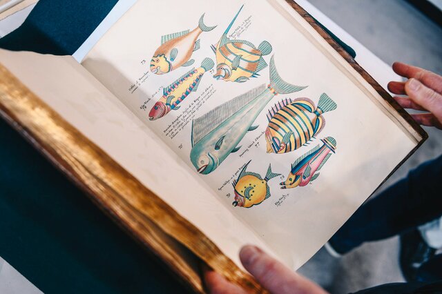 نمایشگاه کتاب‌های قدیمی و نادر در نیویورک