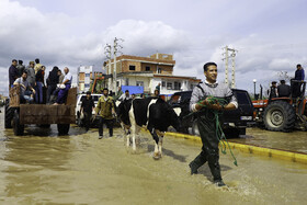 سیل در «آققلا»