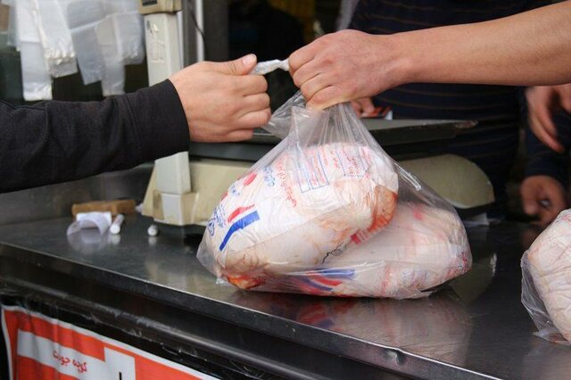 عرضه قطره چکانی مرغ تنظیم بازاری در میادین اصلی