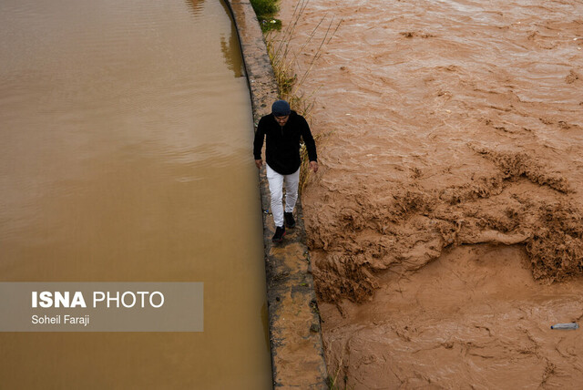 جاری شدن سیل در شیراز هنرمندان با سیل همراه شدند