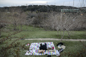 پل طبیعت تهران در تعطیلات نوروز