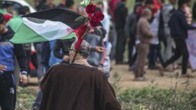 غزه در تدارک هشتادمین جمعه تظاهرات بازگشت
