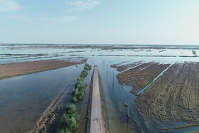 آبگرفتگی روستای علیه - شعیبه خوزستان