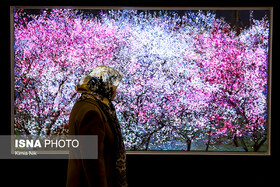 گالری‌گردی در نخستین ماه بهاری