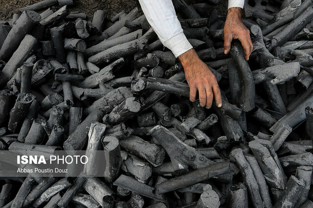 عکس تزئینی است کشف محموله ۶ تنی ذغال قاچاق در ایلام