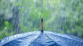 نظری: افزایش بارندگی نمی‌تواند کاهش منابع آبی در ۳۰ سال گذشته را جبران کند