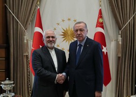تحولات سوریه، یمن و شمال آفریقا محور دیدار ظریف با اردوغان