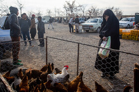 جمعه بازار پرندگان در مشهد