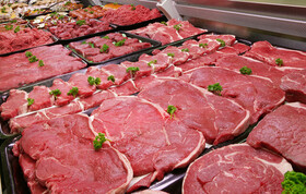 تولید سالانه ۱۳۵۰ تن گوشت قرمز در اسدآباد