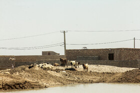 خسارت سیل و امدادرسانی به سیل زدگان  سه روستای داشک، علی رمرودی و آبیل در استان سیستان و بلوچستان