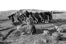 «گل آفتاب» زنی است که از طایفه عرب شیبانی به تنهایی در خیمه‌اش زندگی می‌کند. او فرزندی ندارد و همسر و زن دومش در چادری  دیگر زندگی می‌کنند. زنان عشایر به خاطر سختی زندگیشان خیلی زود پیر می‌شوند.