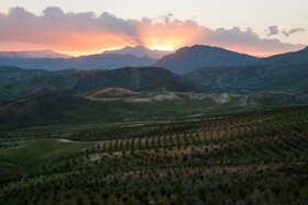 مسیر دسترسی به تنگ بُراق 