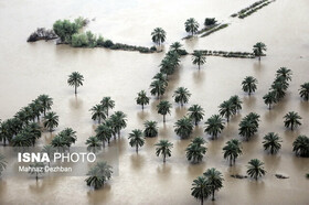 ابلاغ اختصاص ۹۲۶ میلیارد تومان برای جبران خسارت سیل به کشاورزی خوزستان