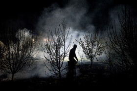 مقابله باغداران ارومیه با سرمازدگی درختان