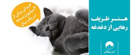 هنر ظریف رهایی از دغدغه‌ها