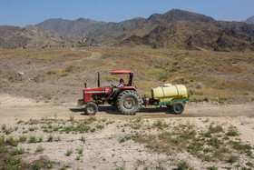 در هرمزگان و ۵ استان دیگر به دو صورت زمینی و هوایی کار مبارزه با آفت ملخ صحرایی در حال انجام است.