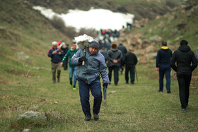 مراسم سنتی " ورفِ چال "