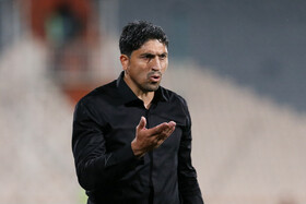 علوی: سیاست‌گذاری های غلط باعث سقوط استقلال شد