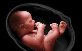 جنین مادران کرونایی دچار ناهنجاری می‌شوند؟