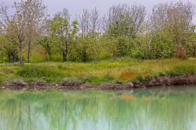 ۸ نکته درباره آبخیزداری وآبخوان‌داری