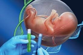 تولید جنین در شرایط آزمایشگاهی