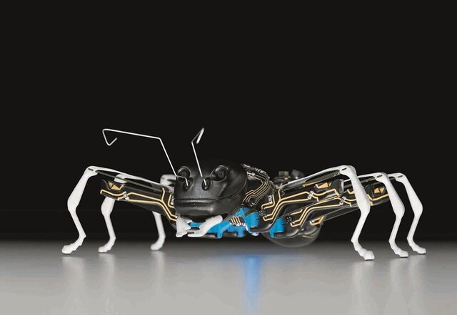 ساخت سیستم‌های رباتیکی و مکانیکی با الهام از حرکات سوسک/یافته‌های جدید محققان‌ از حشرات ۶پا