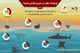 اینفوگرافی / موجودات چقدر در معرض انقراض هستند؟