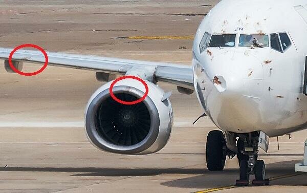 برخورد پرنده علت سقوط بوئینگ 737 مکس بود؟      