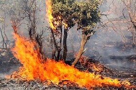 ‌دستگیری ۲ نفر  در رابطه با آتش‌سوزی مراتع کوه «رنو»
