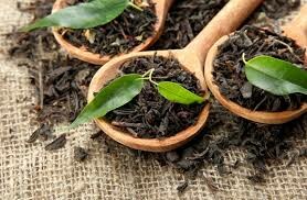 تولید ۱۱ هزار تن چای خشک در کشور