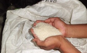 هیچ توجیهی برای افزایش قیمت برنج وجود ندارد/احتمال پلمب نانوایی‌های متخلف