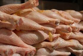 قیمت مصوب مرغ هنوز ۲۰ هزار و ۴۰۰ تومان است
