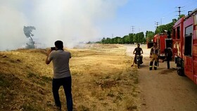 باغستان را برای تبدیل به برج تجاری آتش می‌زنند