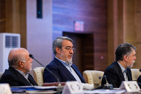 سیدعباس صالحی، عبدالرضا رحمانی فضلی، بیژن نامدار زنگنه در جلسه هیات دولت