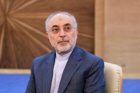 علی‌اکبر صالحی در جلسه هیات دولت