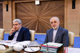 علی‌اکبر صالحی و سورنا ستاری در جلسه هیات دولت