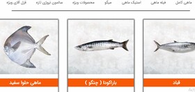 ماهی را هر وقت آنلاین‌بگیری تازه است