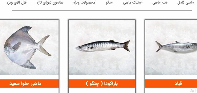 ماهی را هر وقت آنلاین‌بگیری تازه است